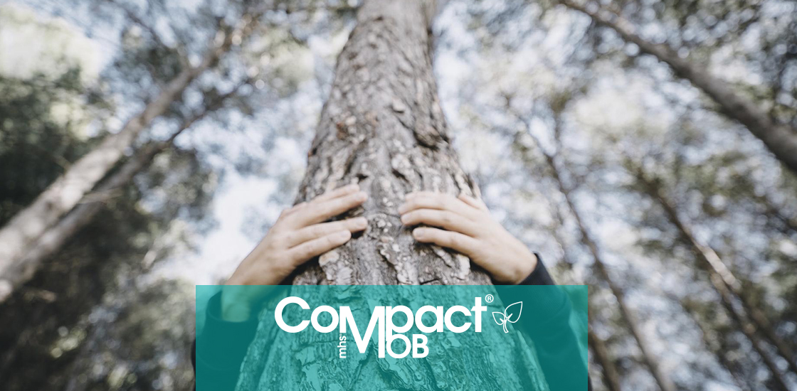 Grupo-MHS_Areas_compactMOB_3